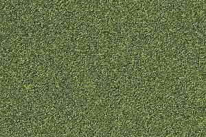 Ковровая плитка Interface Biosfera Boucle 7890 Giado фото  | FLOORDEALER